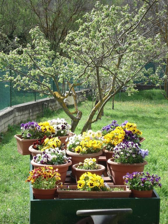 Bed and Breakfast Abruzzo Segreto Navelli Экстерьер фото